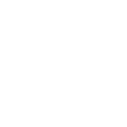 ce logo Providence