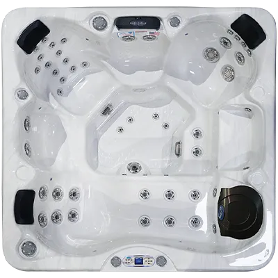 Avalon EC-849L hot tubs for sale in Providence