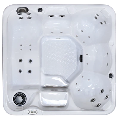 Hawaiian PZ-636L hot tubs for sale in Providence